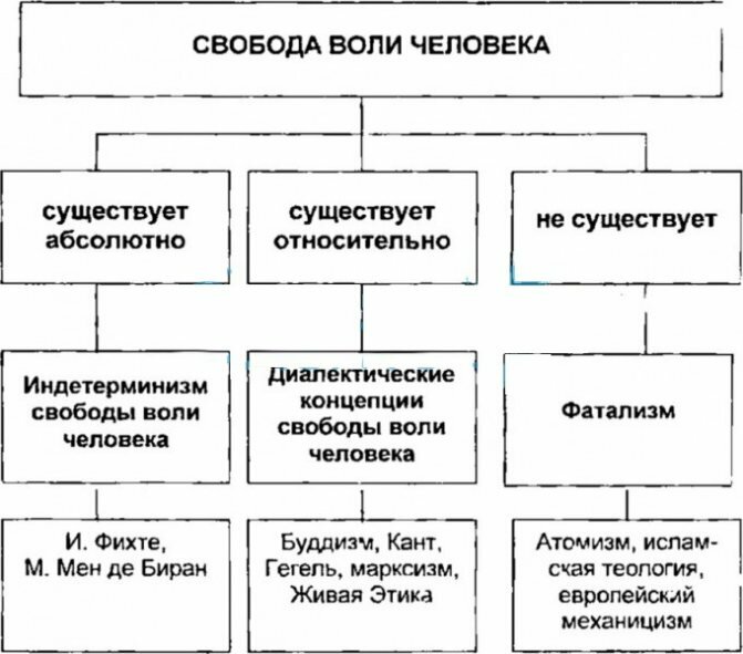 Детерминизм в психологии. Что это такое, принципы, определение, виды, формы