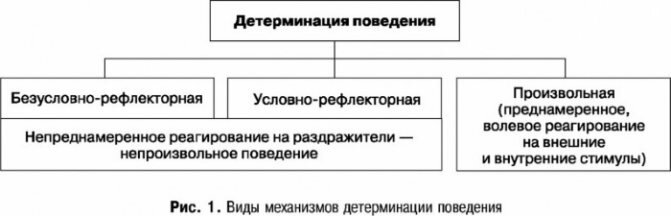 Детерминизм в психологии. Что это такое, принципы, определение, виды, формы