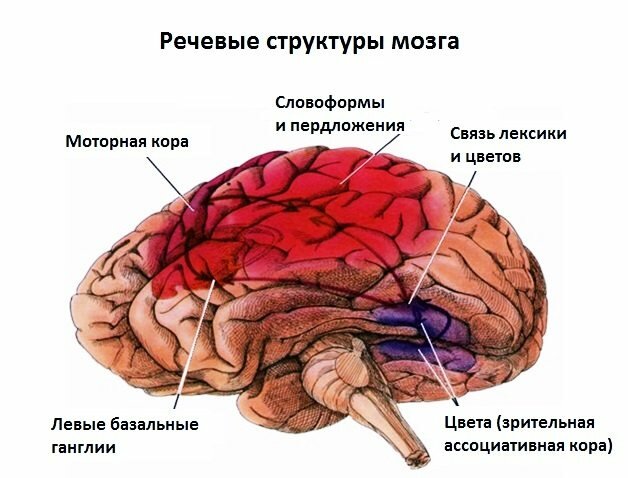 Подписи