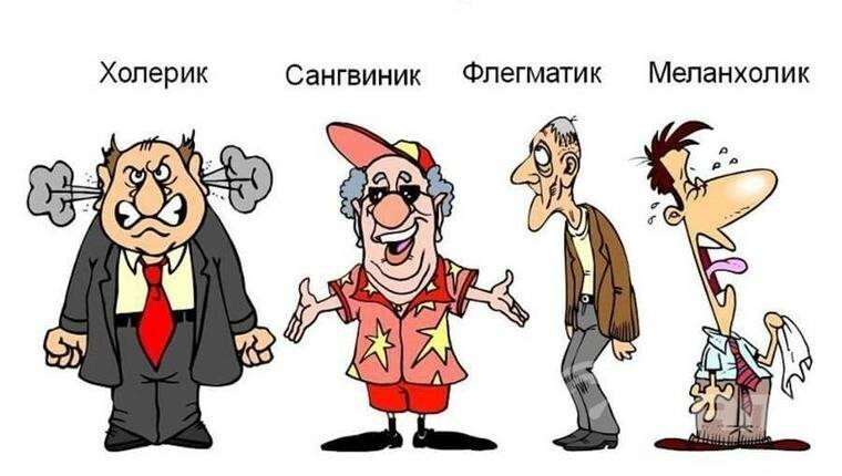 Темперамент