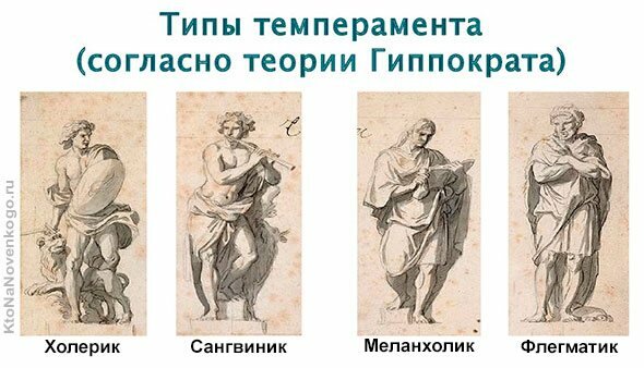 Типы темперамента
